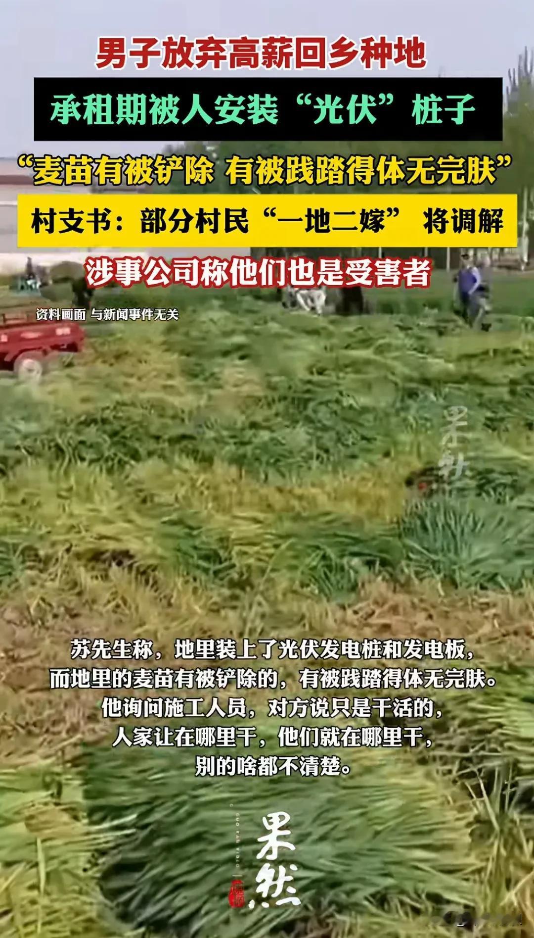 苏先生弃高薪回乡创业梦破碎，这 3 点万万没想到。
 
1. 没想到村民如此不讲