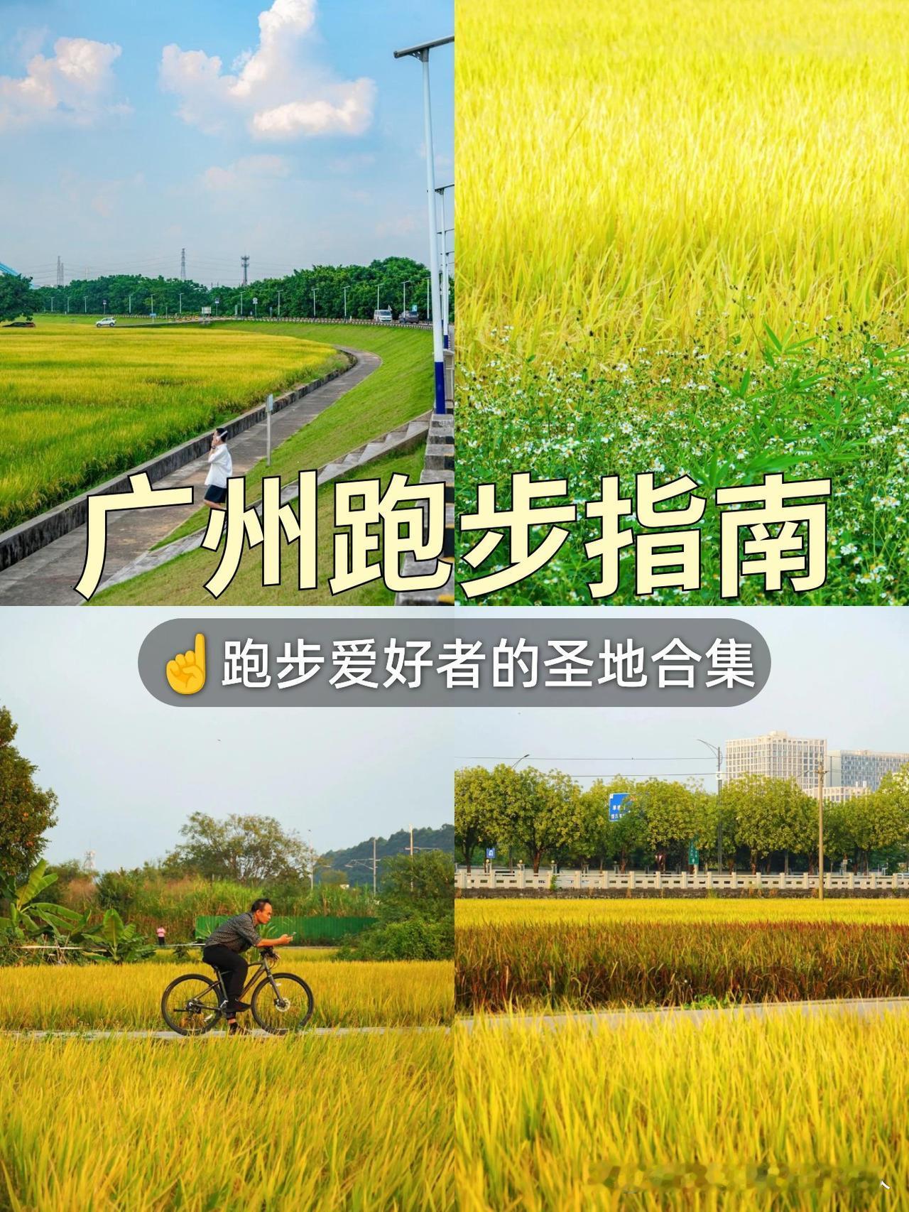 春日漫游指南｜夏良公园轻量级跑步路线

🌼春意正浓，发现了一处藏在城市边缘的宝