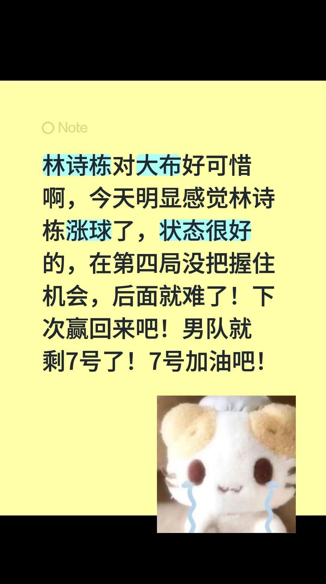 林诗栋对大布好可惜啊，今天明显感觉林诗栋涨球了，状态很好的，在第四局没把握住机会