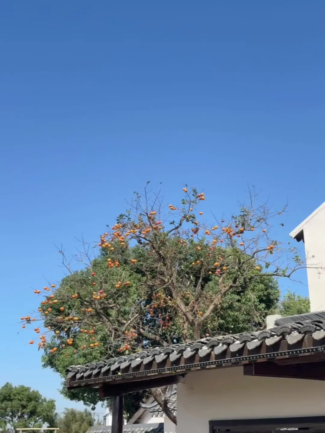 痛苦的时候都是在成长🫡