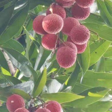 人不可能完美，却可以去追求完美，去接近完美。让我们对生活微笑以待，让我们学着改变