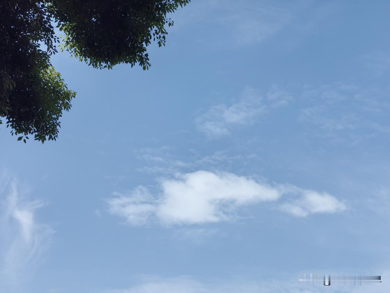 我们这里有户人家，生了个聪明能干的女儿，一路读大学读博士，一晃也工作好几年了。