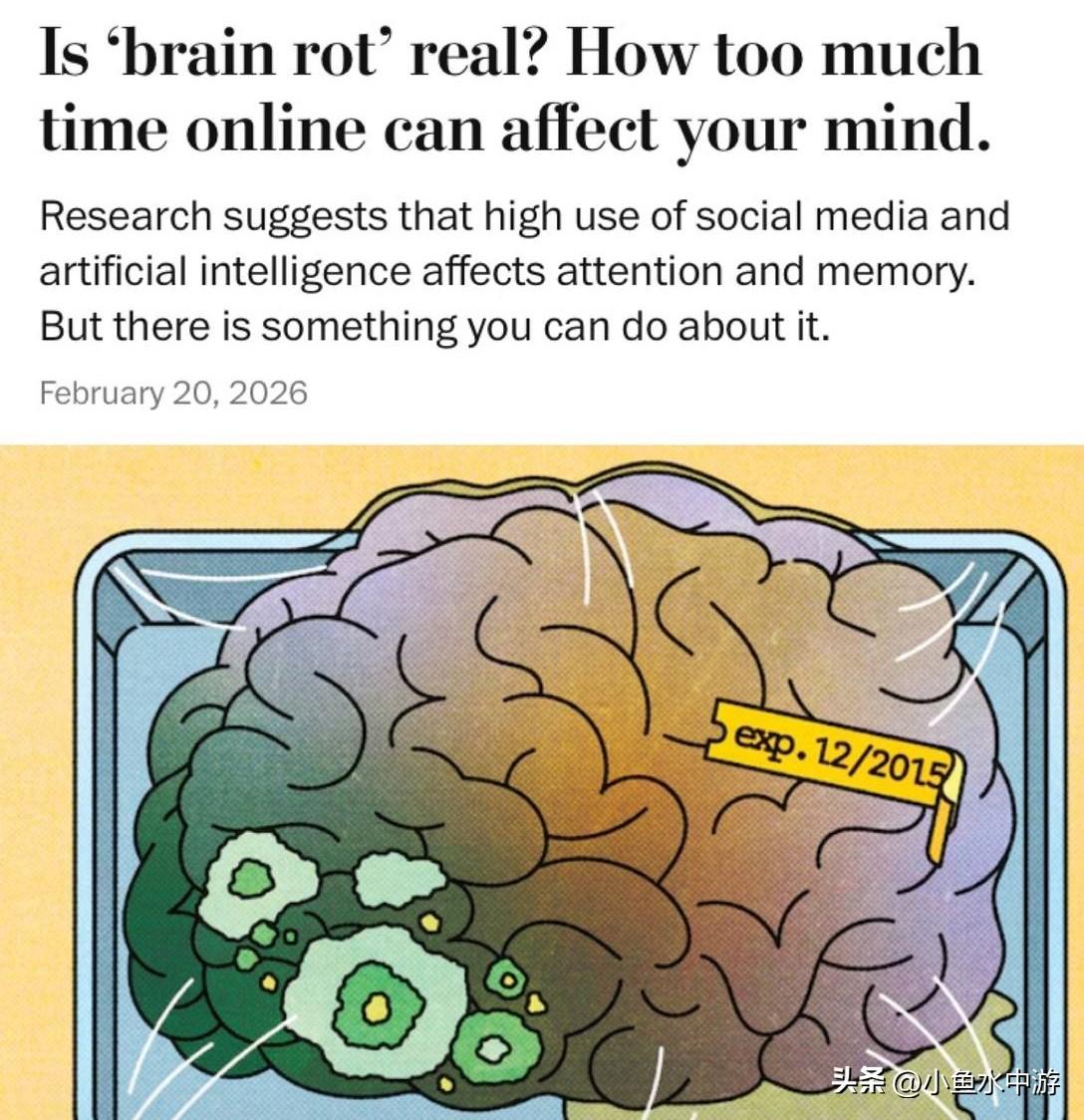 抖音（TikTok）和 Reels 短视频确实对大脑有害，还会损害专注力。
 