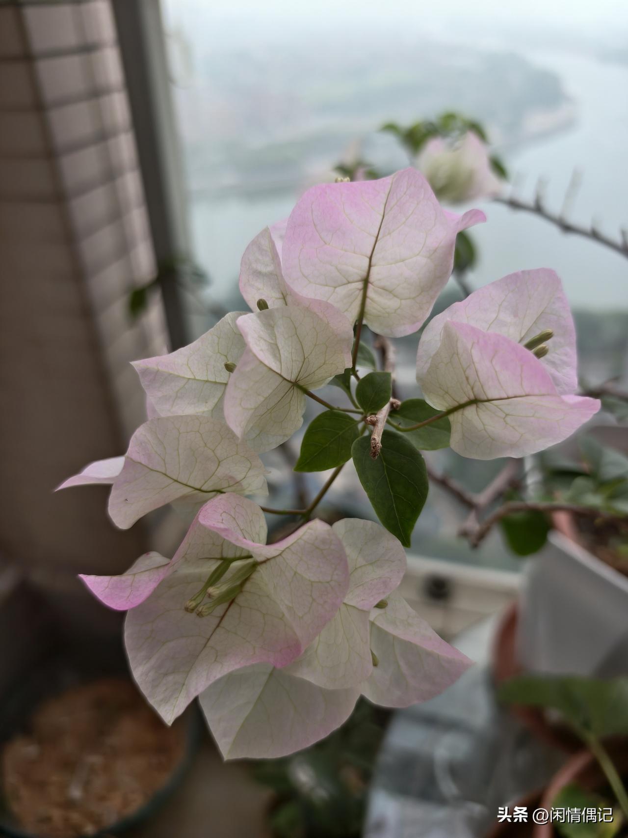 想了想，不为昨天的事情生气了。
 
我觉得，人这一辈子，真没必要太在乎别人背后的