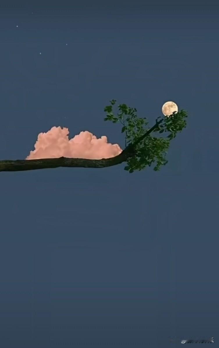 来自上有老下有小和工作中的各种卷，孩子身体机能下降吧