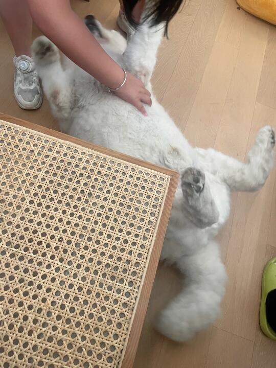 妈妈，这就是暑假吗
