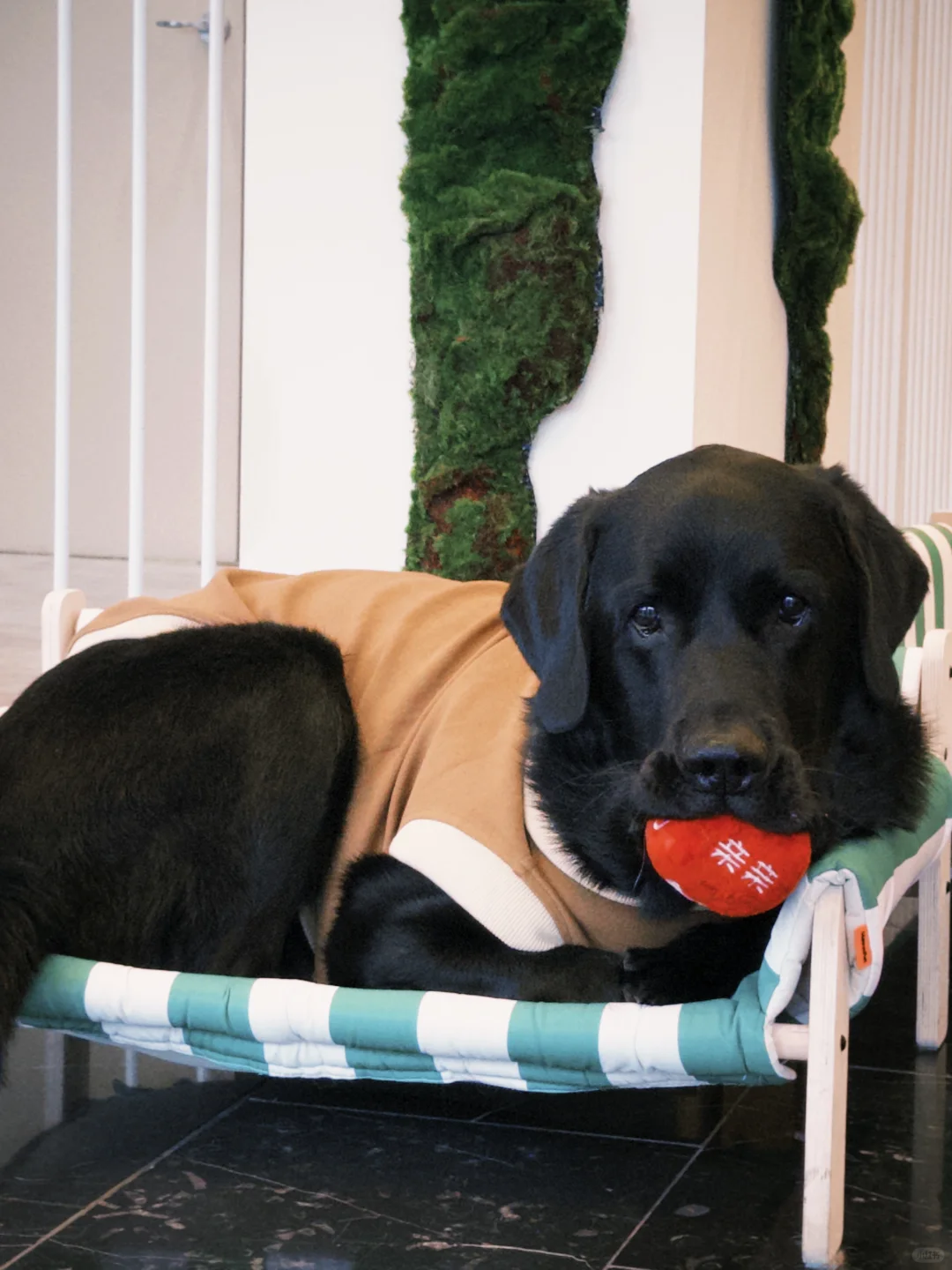 宝宝 床可能要塌了