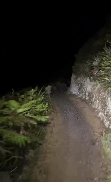 昨晚下班往家走，半路遇到个Strange玩意儿，那东西看着不像正常动物，说它像鸡