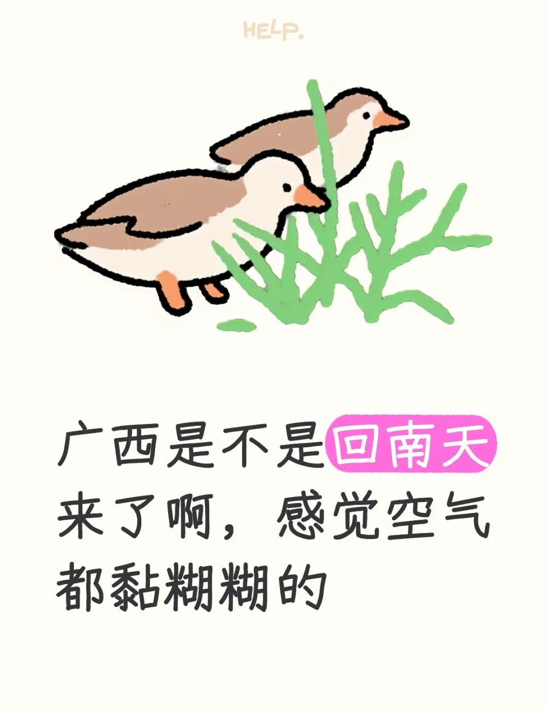 地板也是有点潮湿...回南天