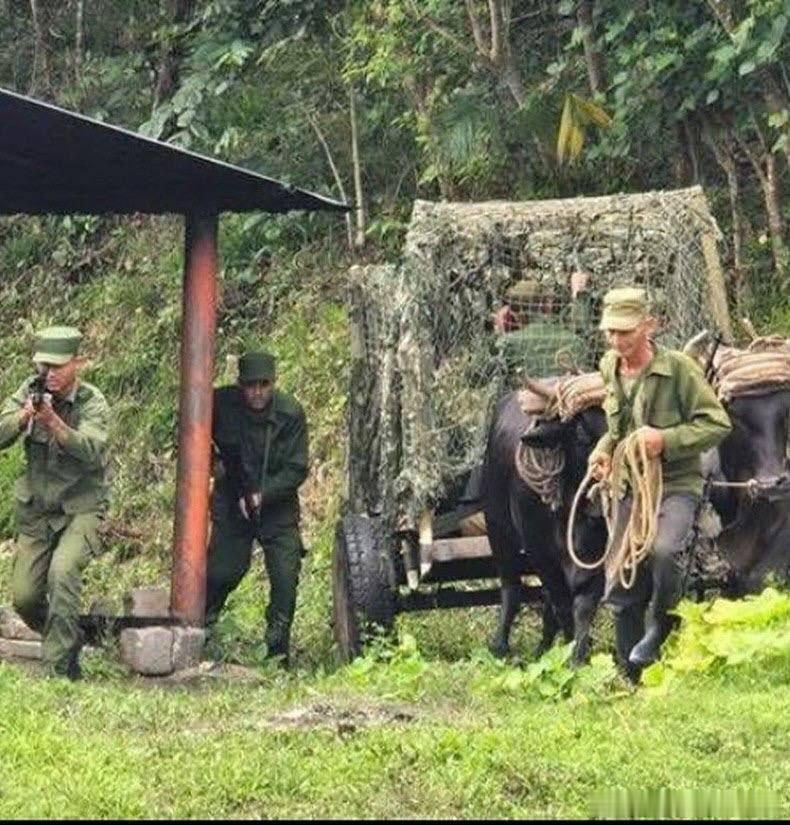 古巴听闻美国将入侵，于是开始传统中的紧急军事演习。 