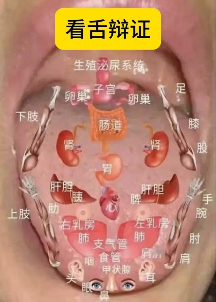 舌象分析，对应看看
#中医舌诊分析# #舌诊全集# #脾胃#