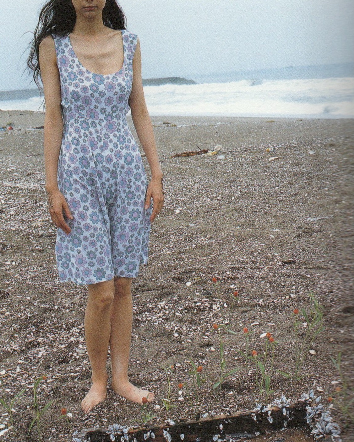 桐岛加恋，1991 