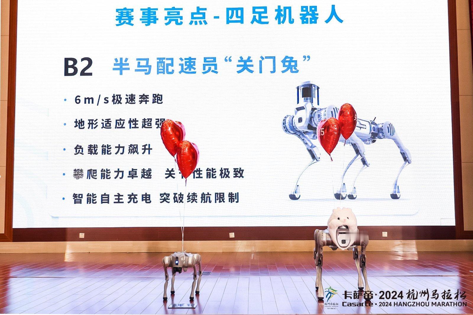 杭州马拉松推出机器人兔子，半马315配速将用机器人狗，厉害了！#精英跑者##跑步