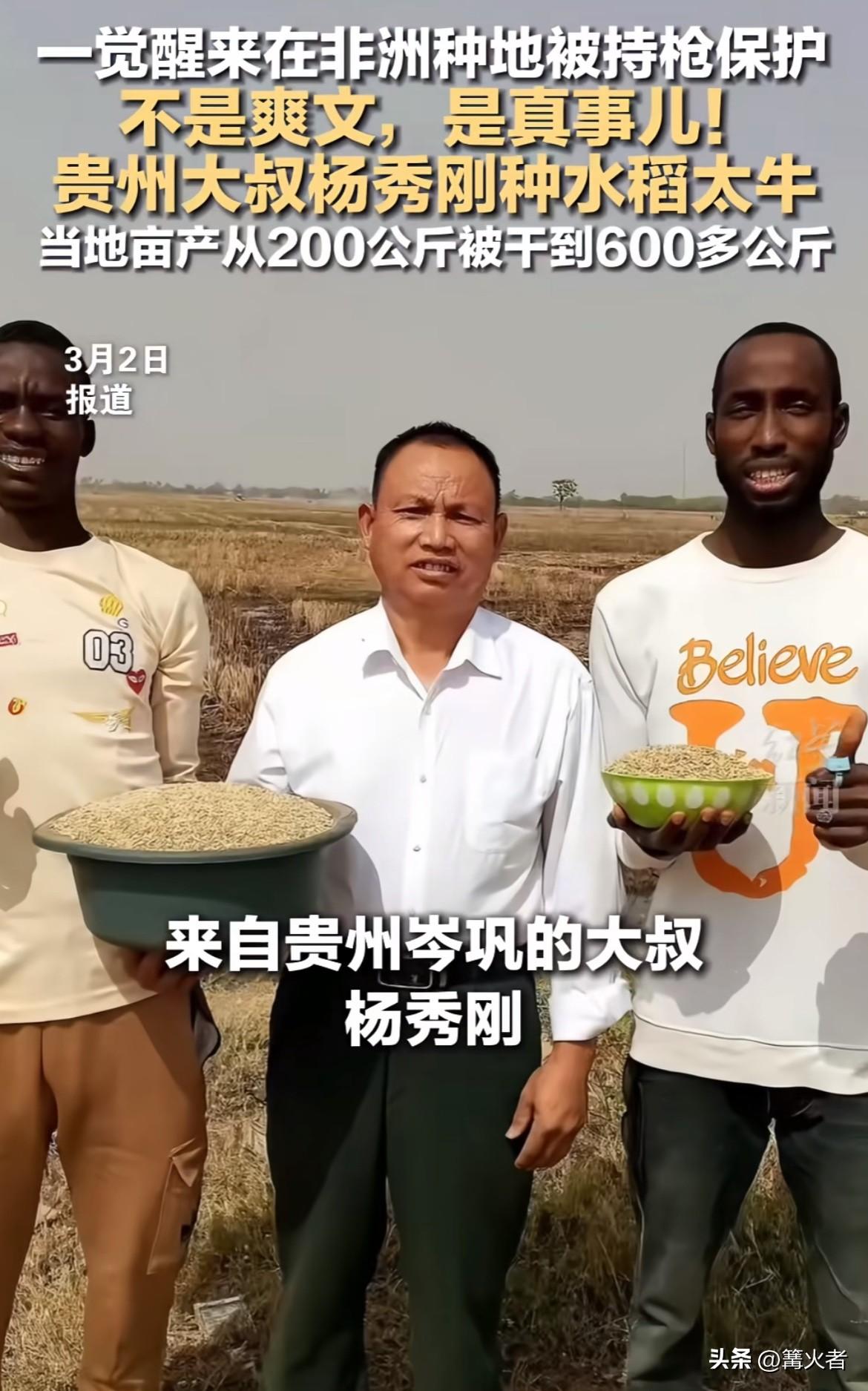 他被外派到尼日利亚种水稻，克服气候、语言、饮食等难题，因地制宜培育优良品种。原本