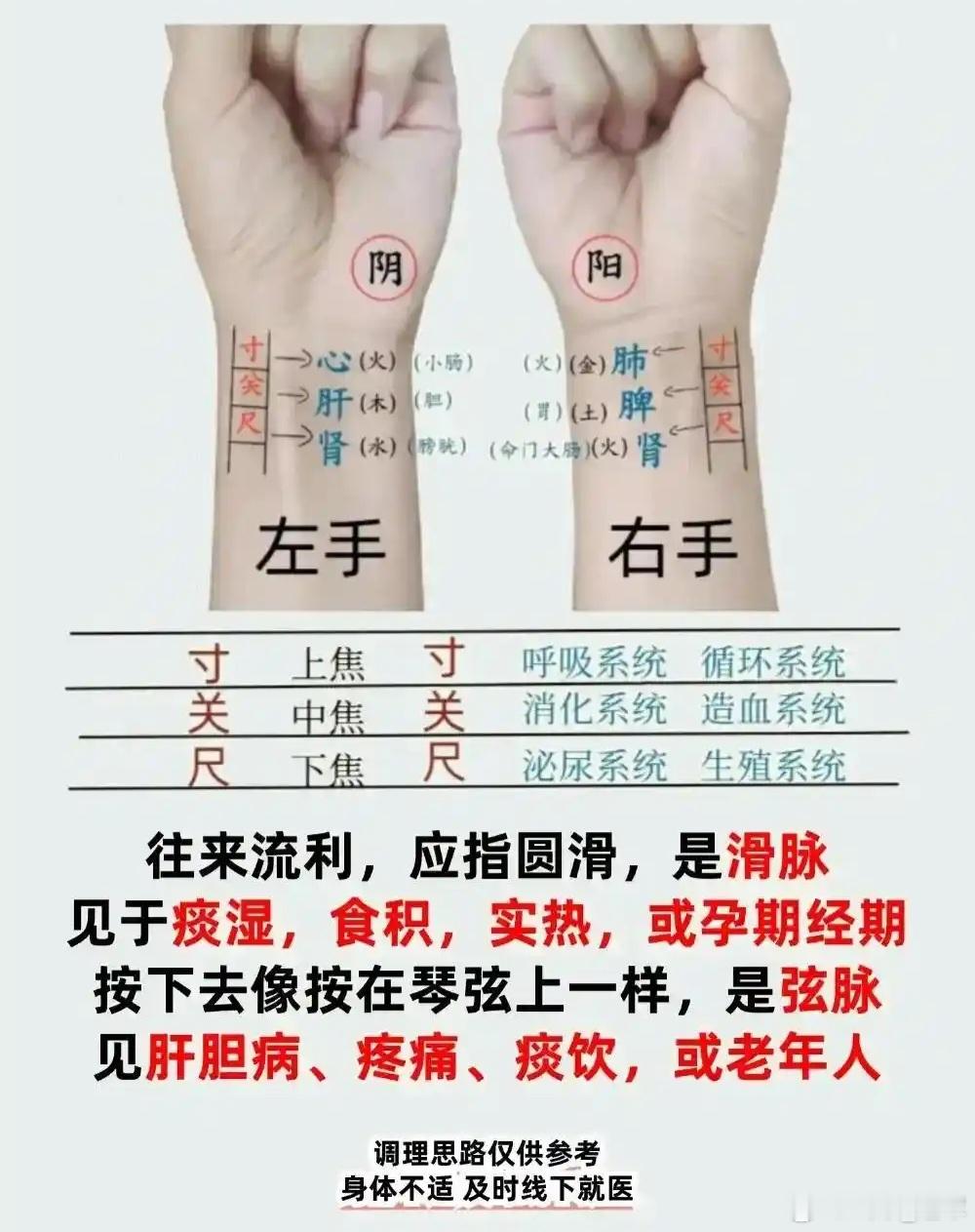 黄元御思路解读《四时虚实诊脉歌》——直击「天人相应+母子相及」核心黄氏脉诊的灵魂