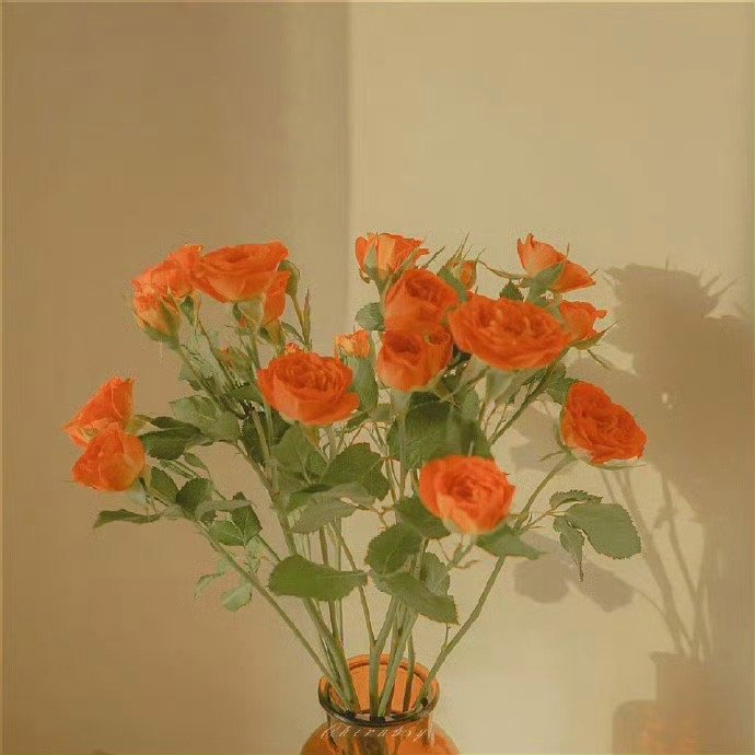 人与人之间，淡淡的，喜悦的，未语先笑，珍惜而寂静，这样就好。—— 庆山《清冽的内