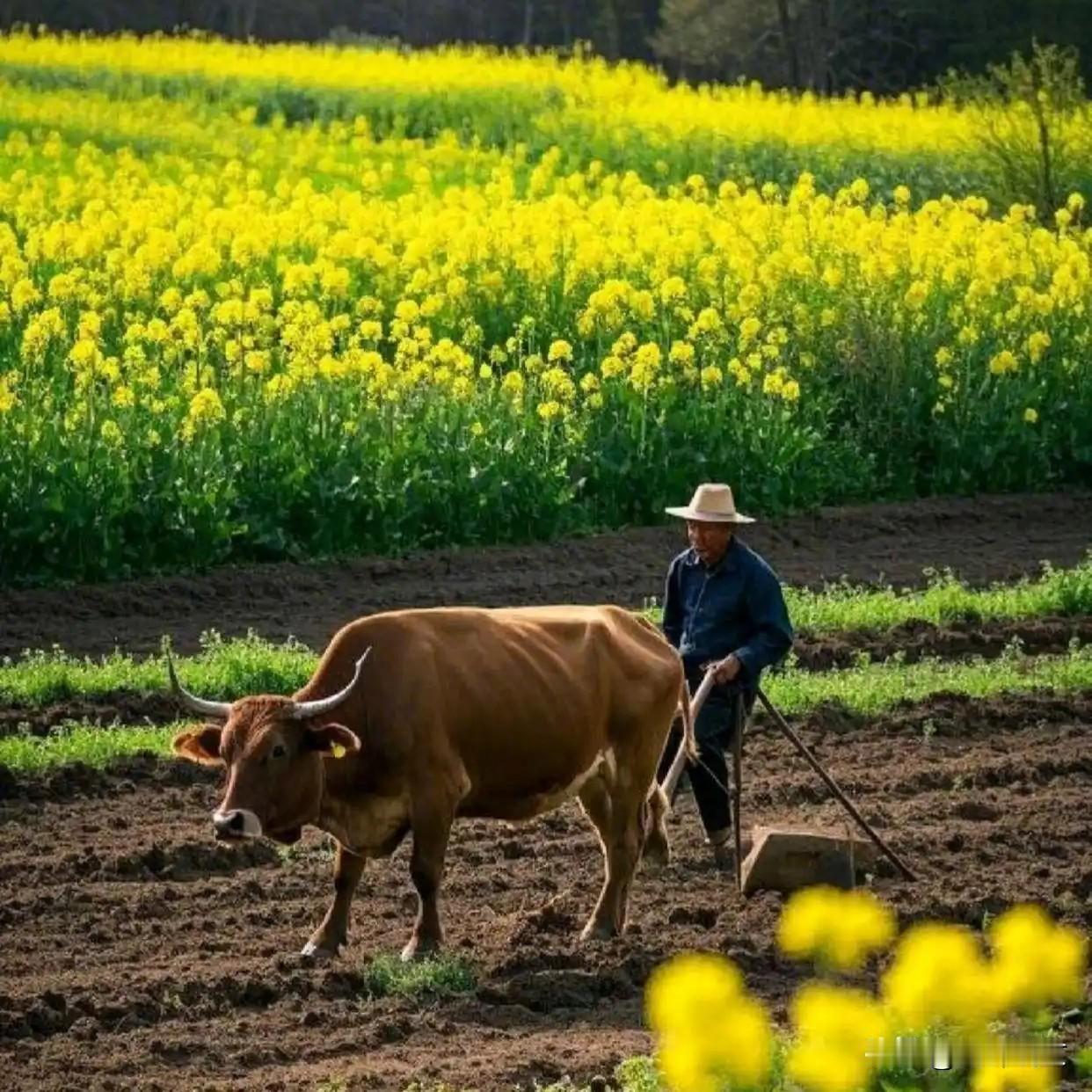 农历二月二十七春耕忙，种下美好收全年欢喜
 


你知道吗？农历二月二十七，可是