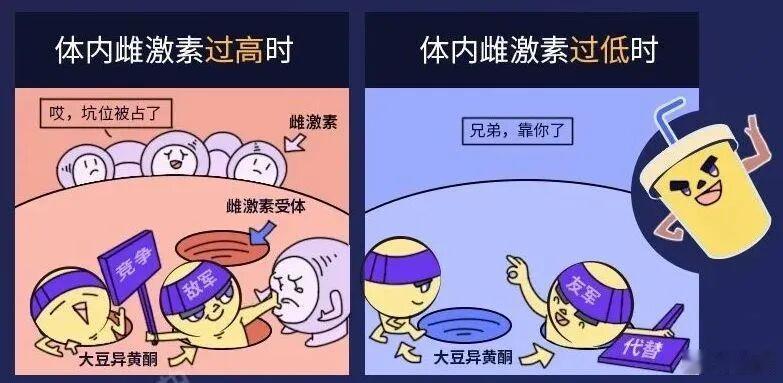 【经常喝豆浆，到底会不会乳腺增生？[思考]】有人说：长期吃豆制品，植物雌激素积聚
