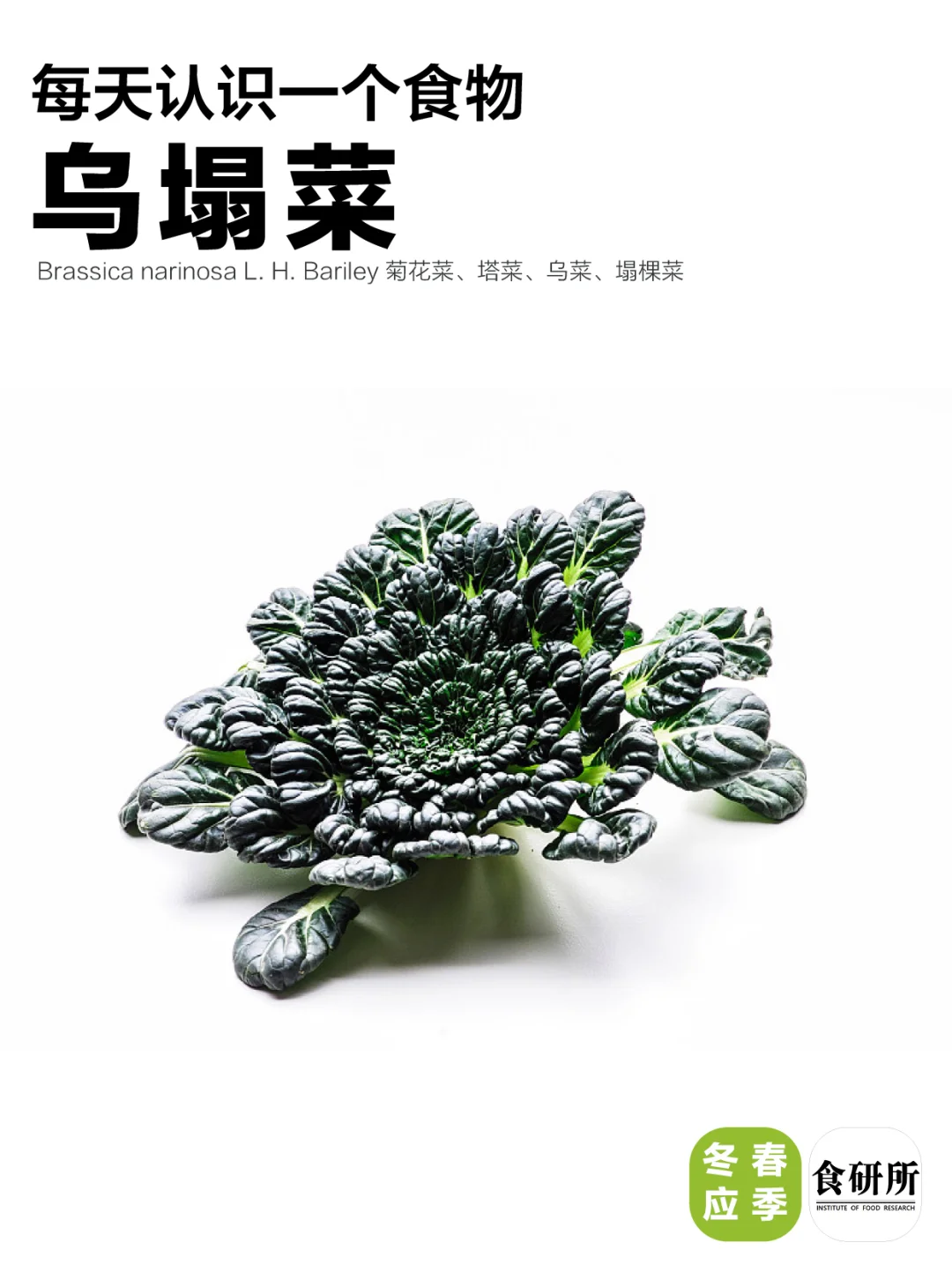 塔菜冬笋，脱离苦海！