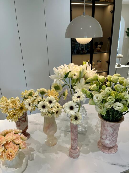 本周鲜花📝春天的家怎么能没有鲜花呢🧚‍♂️