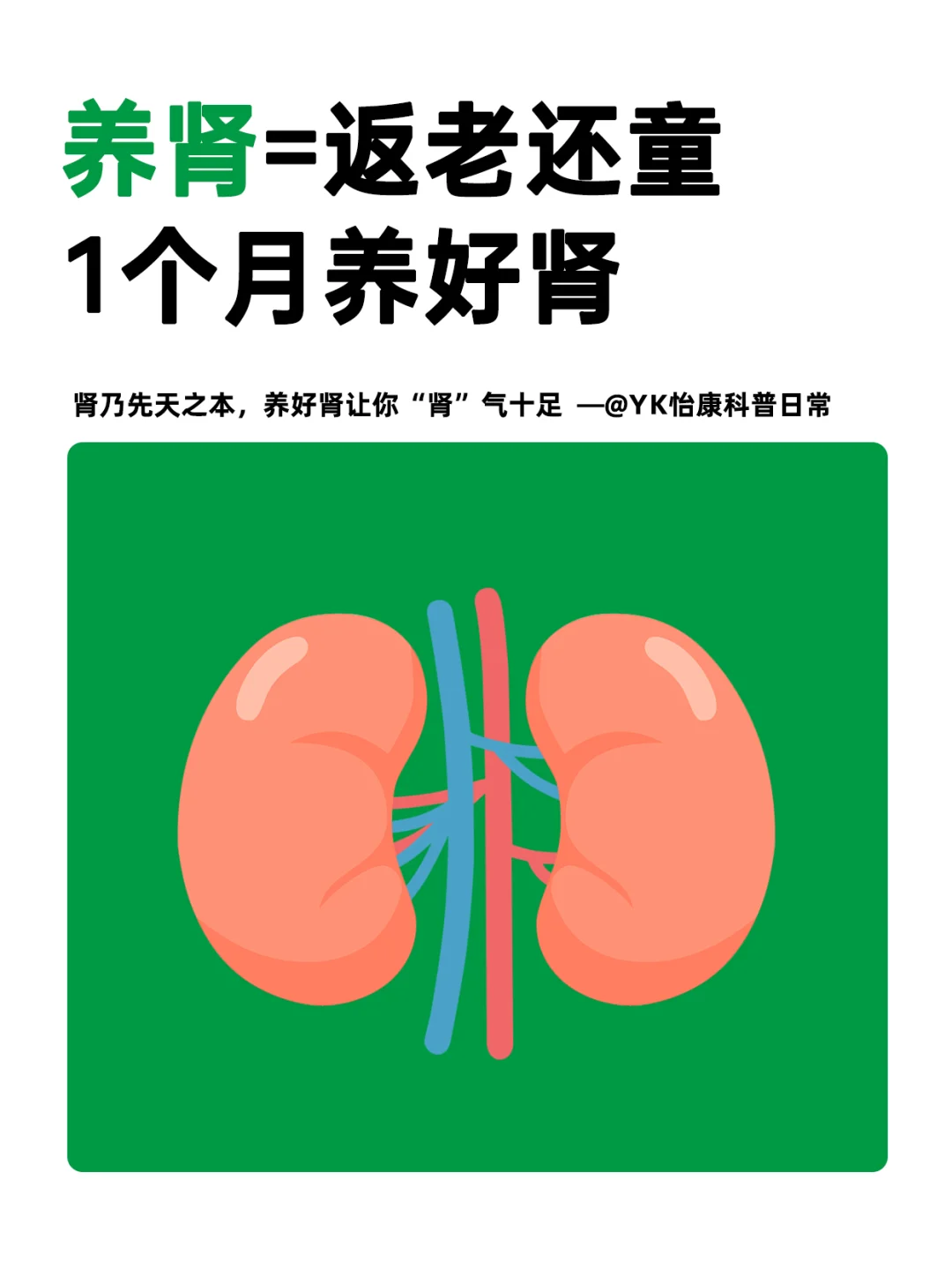 养肾不分男女！！一个月养肾攻略速看📕