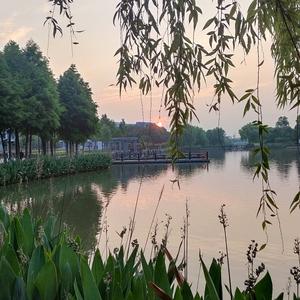 大浪淘沙聊情感