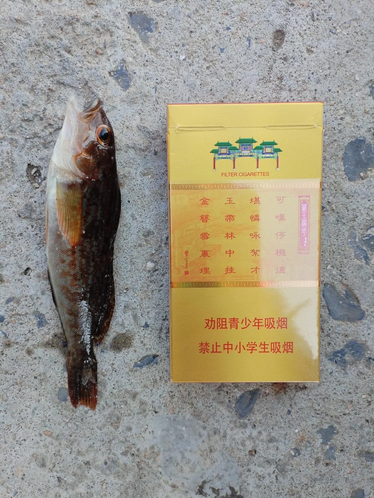 早上出门钓鱼时和老伴夸下海口，今天必须有鱼吃，起码喝鱼汤。
老伴说：拿点钱吧！万