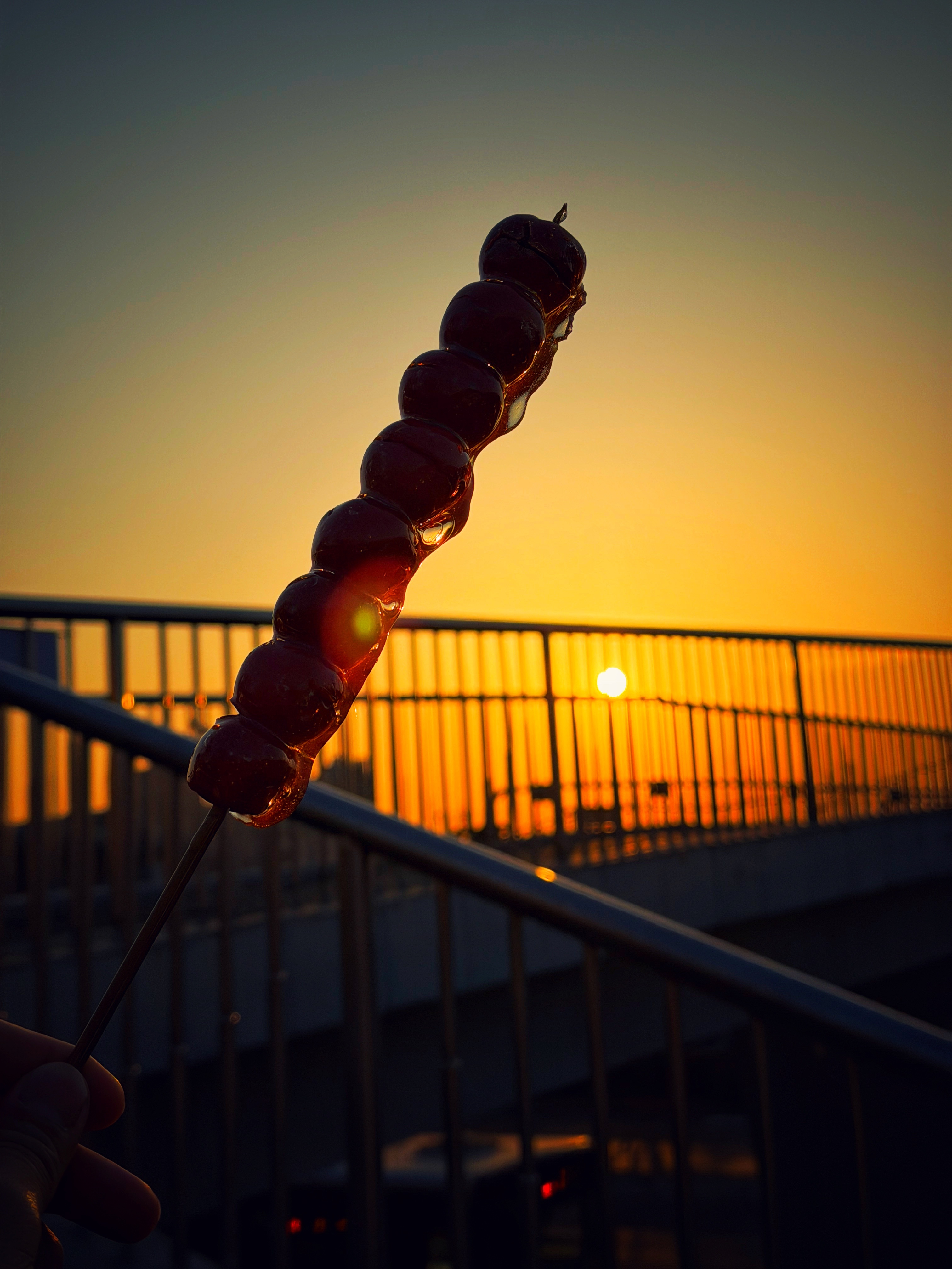 第一次来天坛，适合走走🌄 欣哲频道天坛 北京·天坛公园