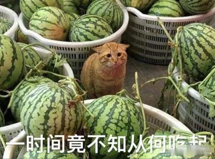 【吃瓜】河堤，短腿，小孩哥，顶刘，赵小刀，颜色小花，张柏芝，孟姐，小林，小默笙，
