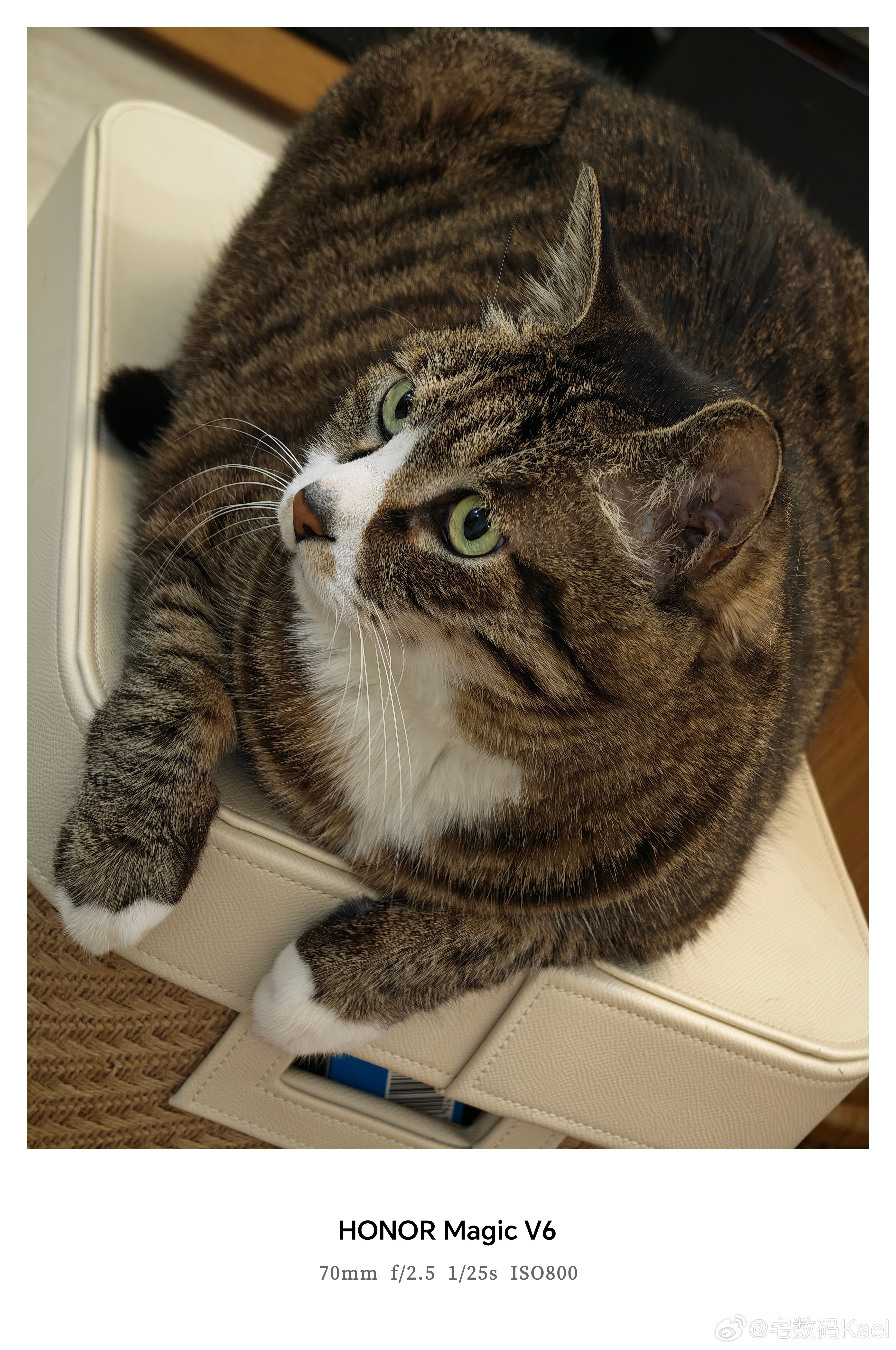 嘿嘿，可爱的小白手套