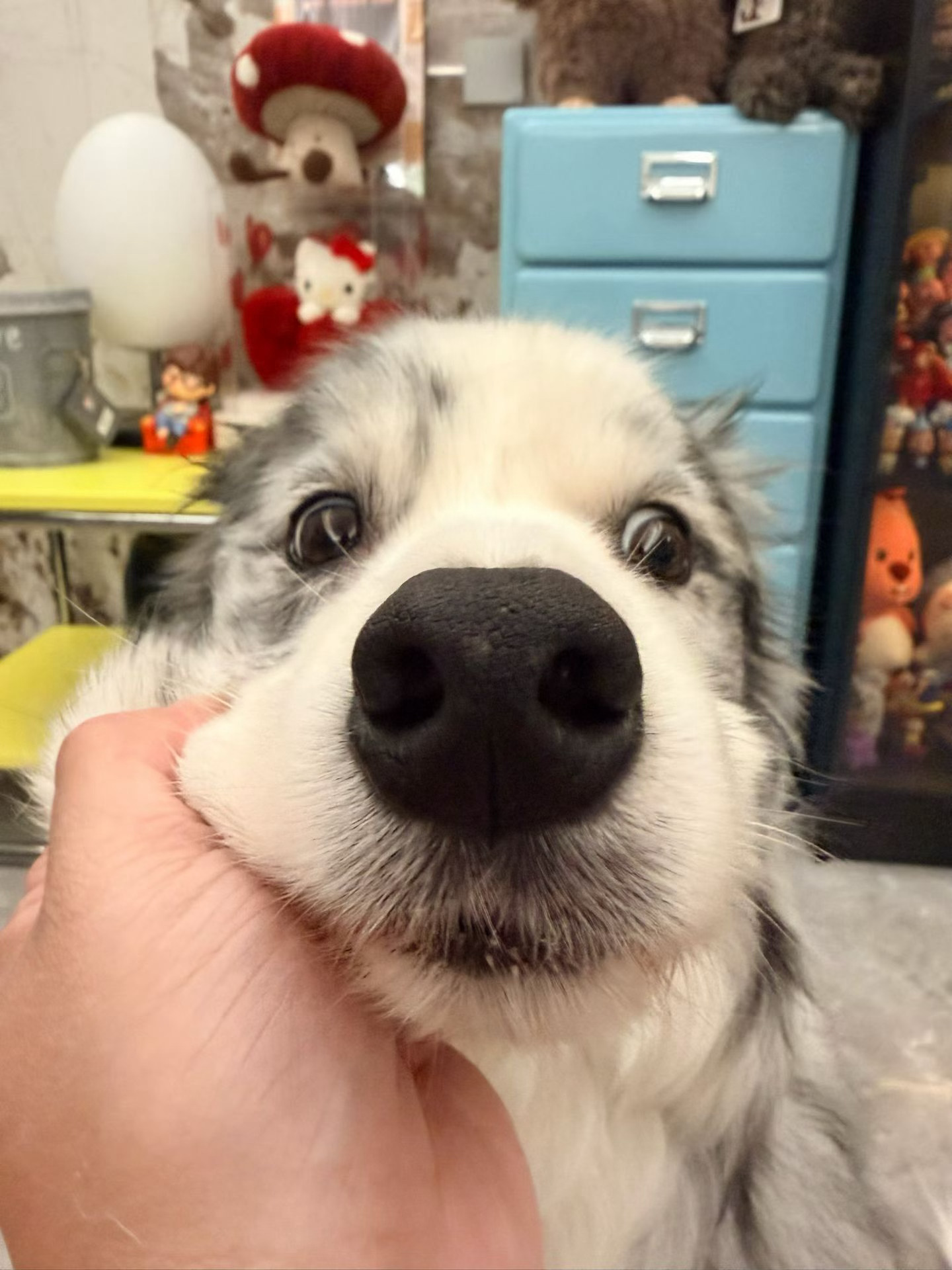9好好的行不行🥺 