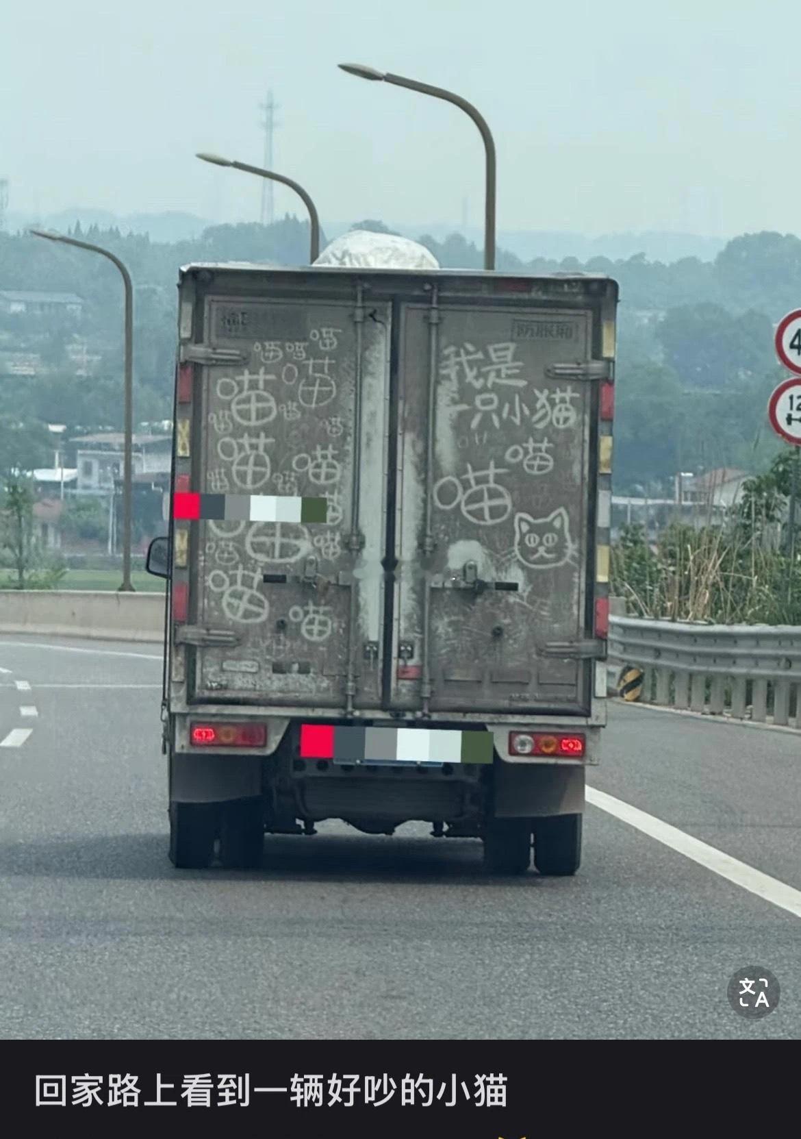 感觉给一个猫条的话能安静一会 ​​​