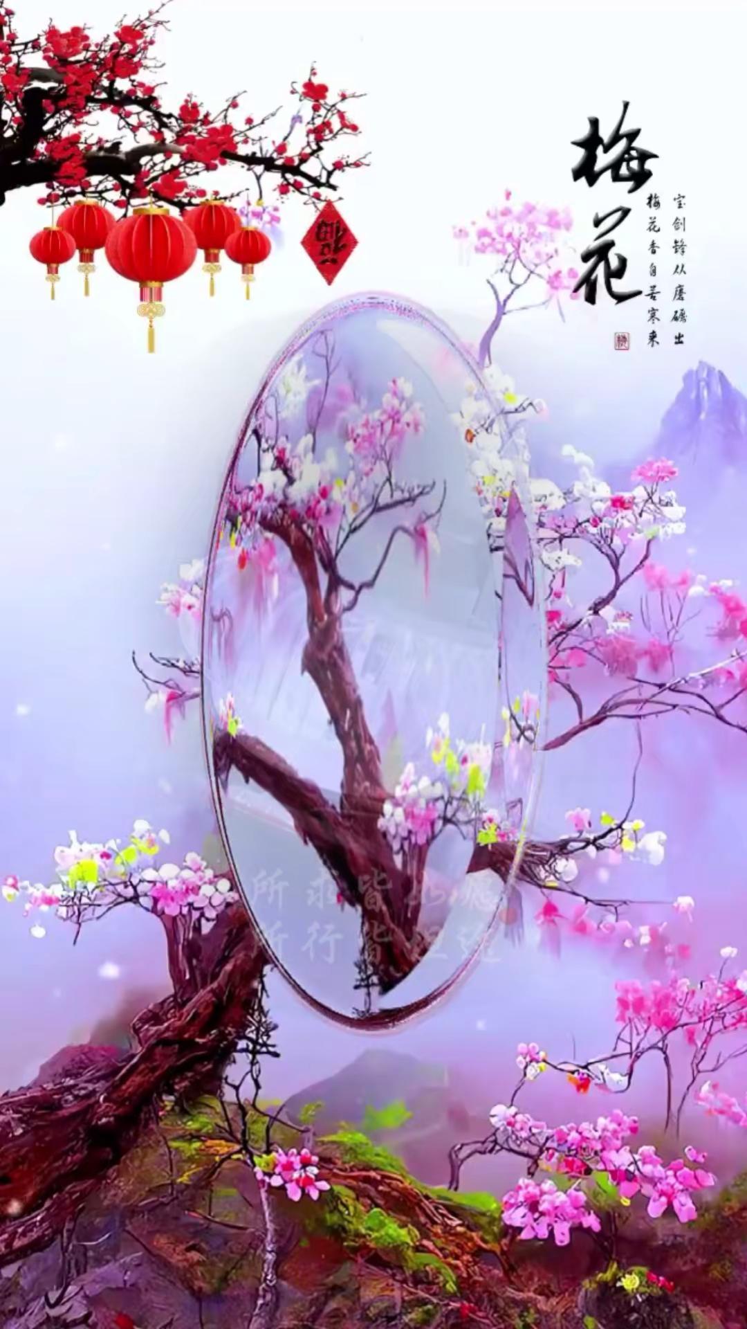 花开富贵花 梅兰竹菊 花花草草🌸🌸 花开富贵好运连连