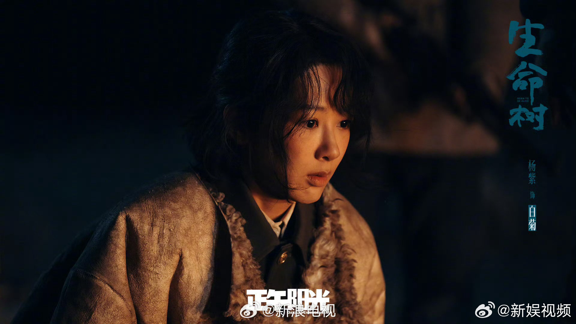 杨紫90花第一位白玉兰视后第31届白玉兰奖颁奖现场，杨紫凭《生命树》白菊一角获最