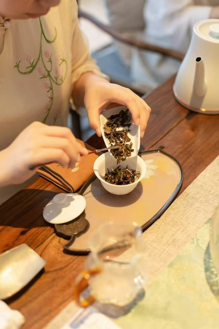 茶道  温杯烫盏，满室生香清茶慰岁月，静坐品时光 