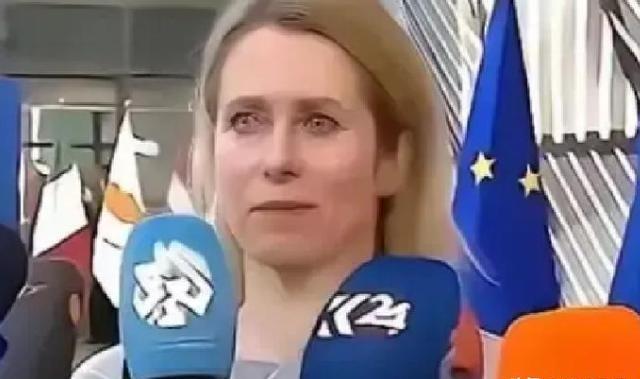 欧盟的官宣再次震惊了全世界：从今年开始，一切与中国有关的科研机构，都将没有资格参