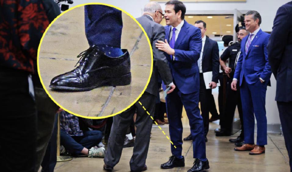 谁说美国没有人情世故？放眼一看，全都是人情世故！你都想象不出来那些高官为了讨好特