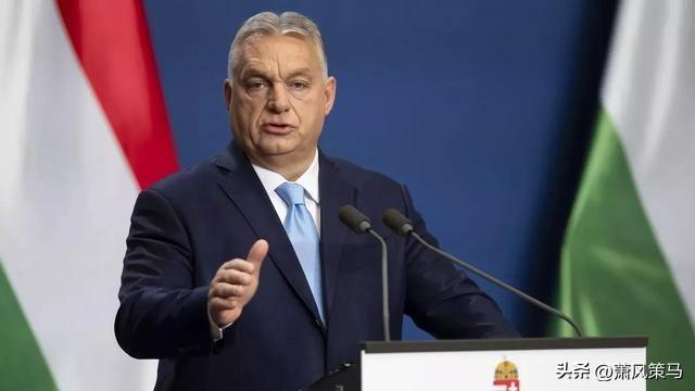 没有模棱两可的客套，没有避重就轻的敷衍，这番话直白又犀利，道出了最真实的国际现实