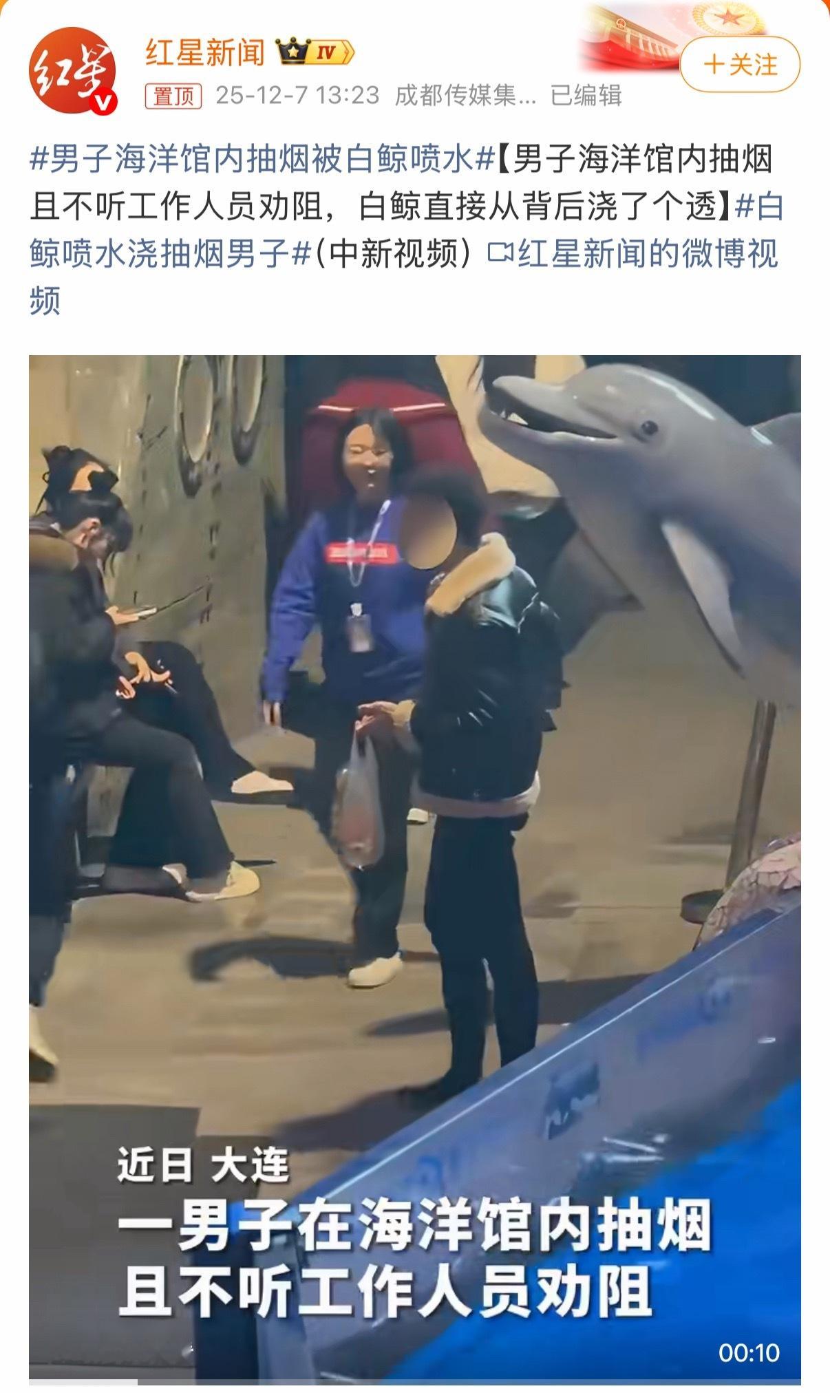 笑死😆，白鲸都知道不能随地大小抽。男子海洋馆内抽烟被白鲸喷水