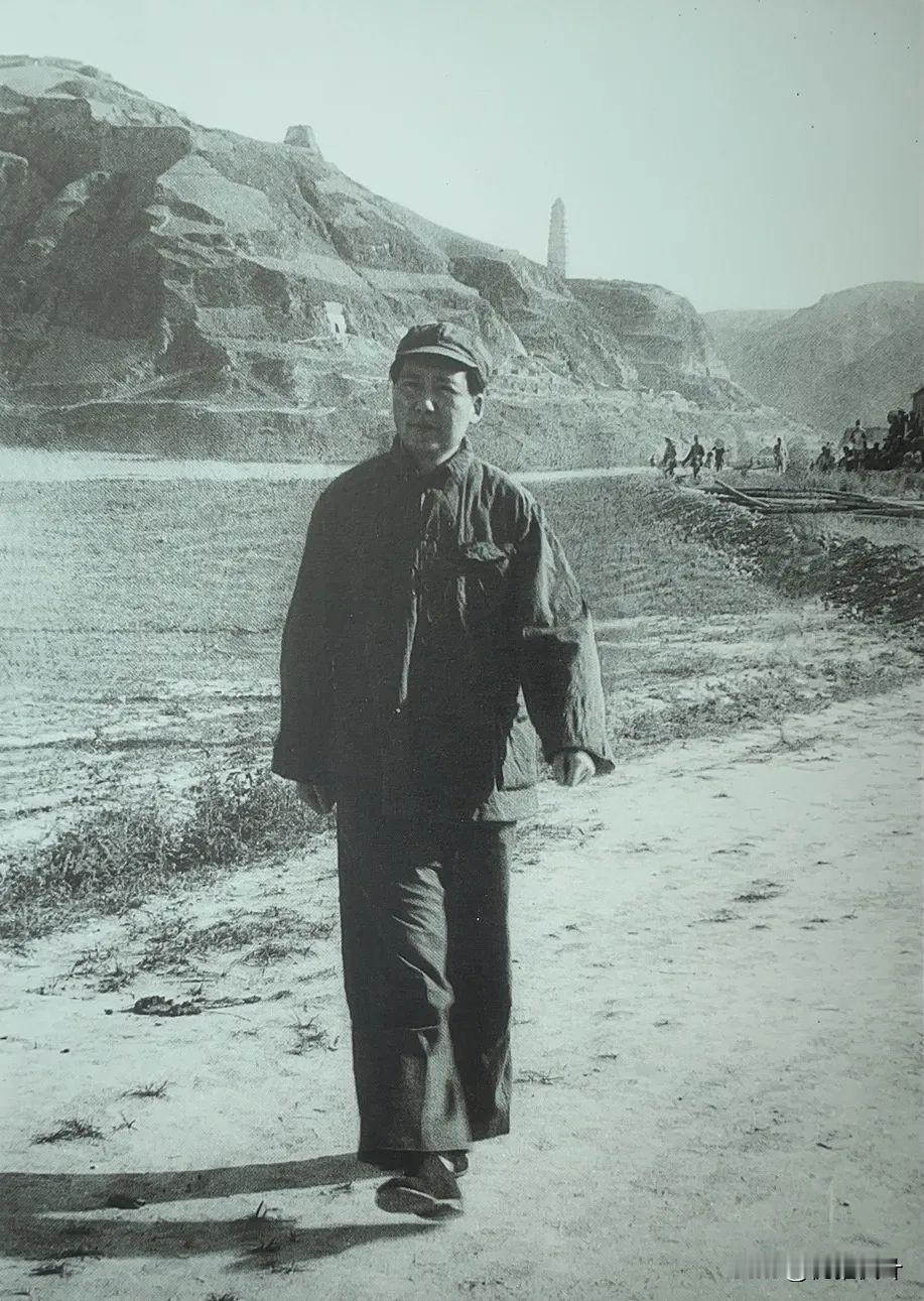 刷到就存好！永远敬毛主席！他让城市有了垃圾桶，街道不再乱糟糟！[玫瑰][玫瑰][