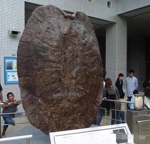 1994年5月，江苏盐城千秋大桥施工现场，竟然发生一件离奇怪事，早起的工人们更是