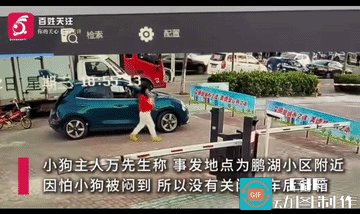 女子不仅动作熟练，而且举止还淡定。
女子识货，估计是一位爱狗的人。
不过，摊主亏