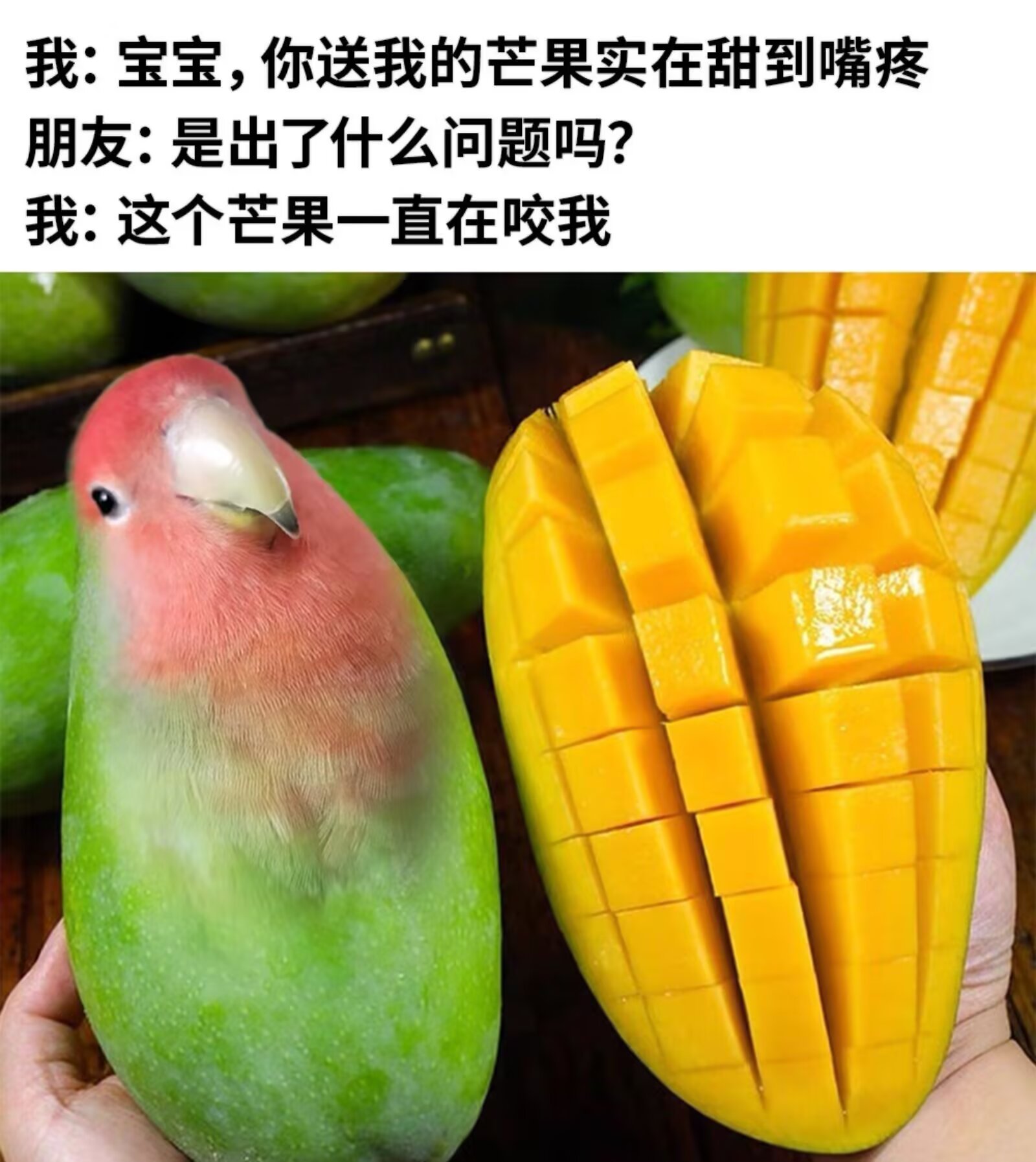 6731芒果先动的嘴。 