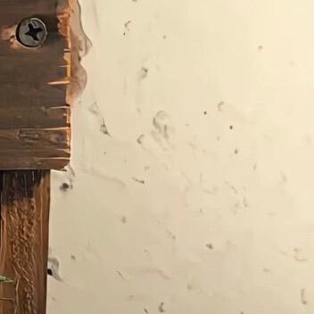 别总是抱怨生活不够幸运，是你欠了生活一份努力。每一个你讨厌的现在，都有一个不够努