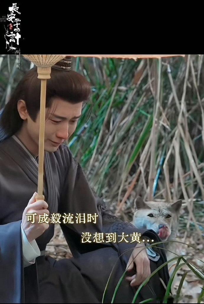 小狗不知道演戏只知道成毅很难过 被《长安二十四计》的新花絮治愈到，成毅进入角色后