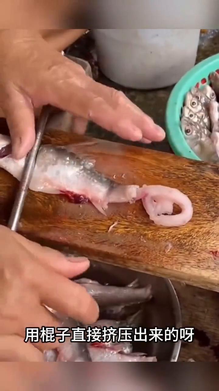 原来市场里的师傅制作鱼丸的时候都是这样将鱼身上的肉用棍子直接挤压出来的。不过这好
