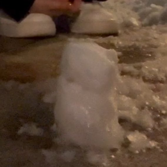 2023.01 ☃️           2024.01 🐻🐤2024.02