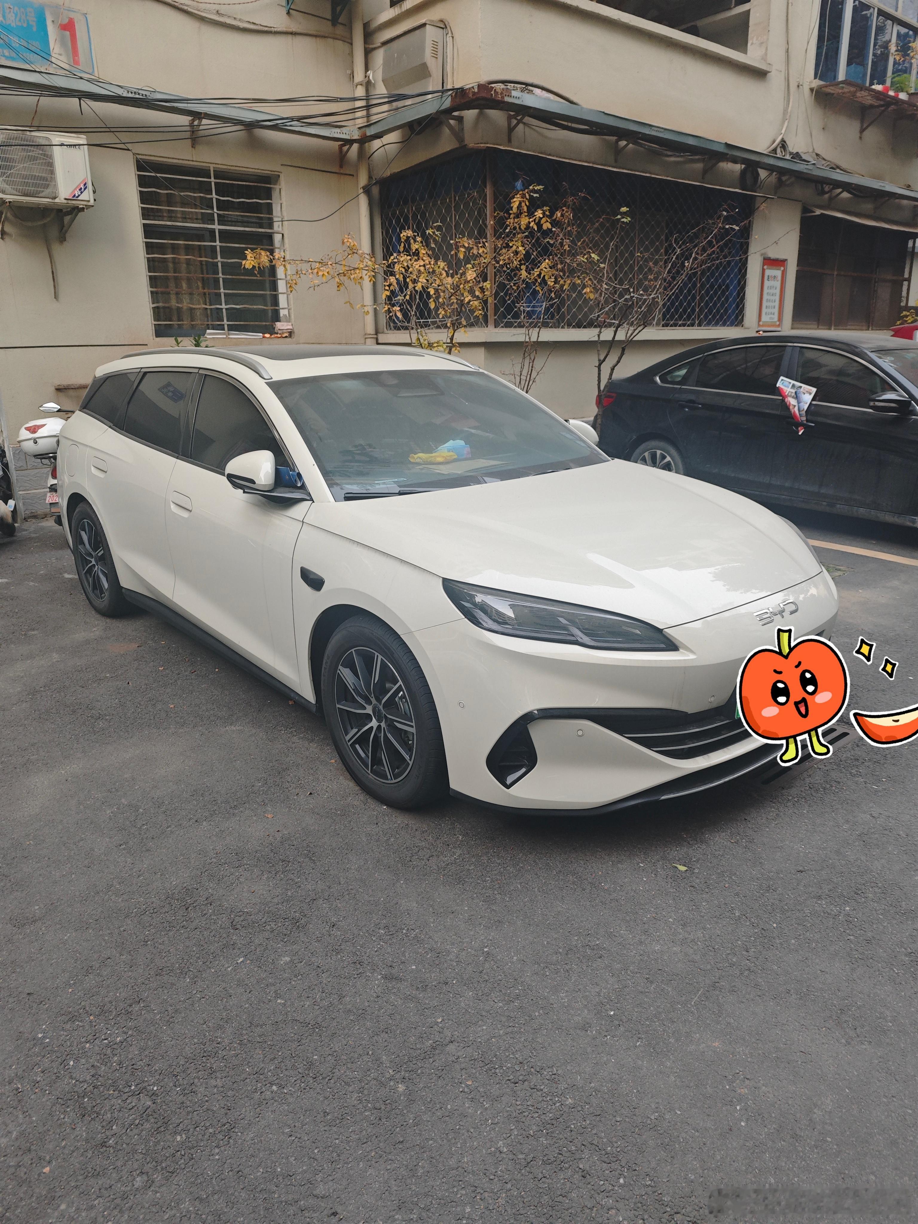 一个多月没动，这要不是烟茶，得脏成啥样呀还有大家一定要重视这次的流感，做好防护，