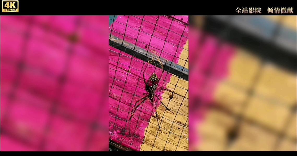 国庆节假期第二天
香火岩
亮点： 峡谷瀑布、奇石溶洞、水清石奇，人少清静。
交通