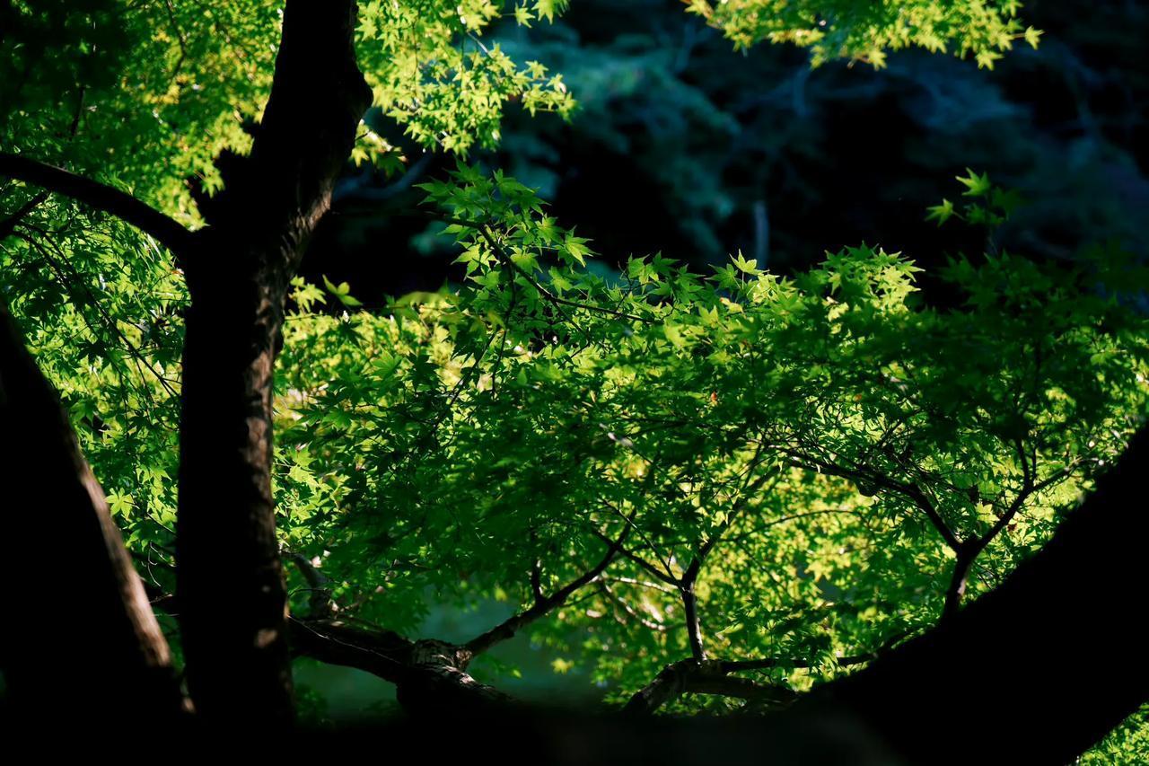 现在很多房产专家说的大放水。
对于房价来说，已经没有太大的效果了。
一般来说，这